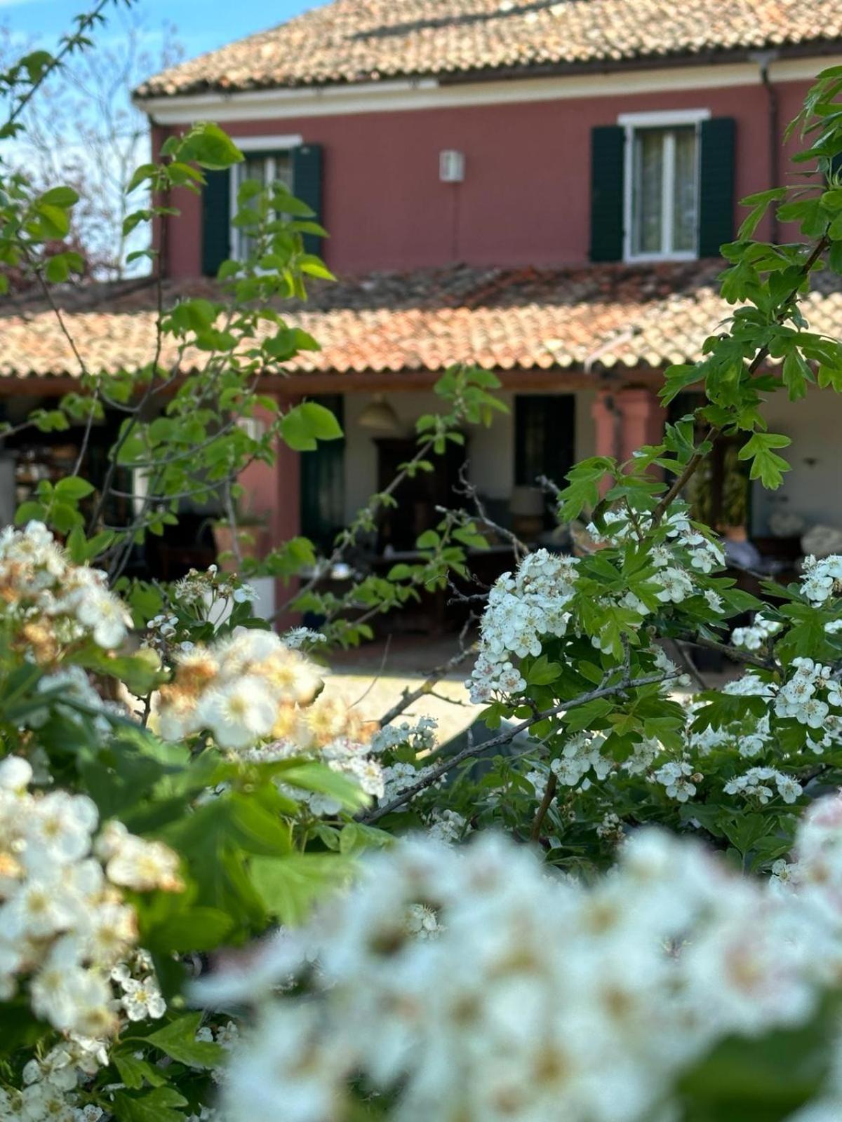 Bed and Breakfast Residenza Ilde Corpolo Esterno foto